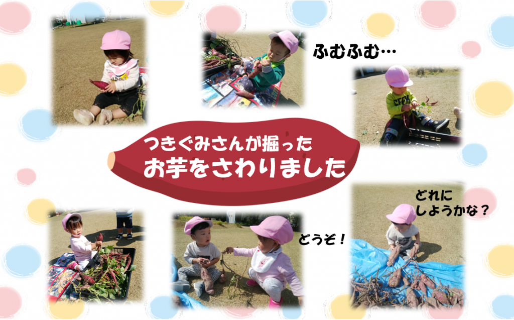 ことり2くみ ”サツマイモをさわりました”