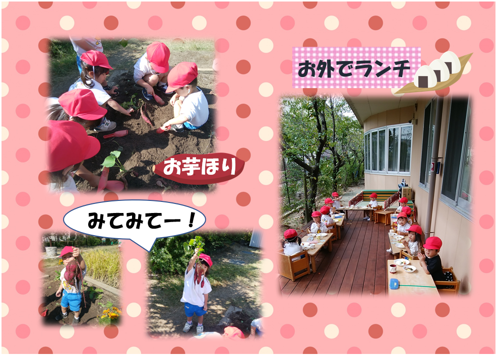 はなぐみ お芋掘りをしたよ 大阪府高槻市の認定こども園 社会福祉法人 たつみ会 柱本保育園こども未来学舎