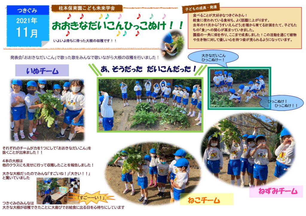 11月 つきぐみ 一坪菜園活動⑥「だいこんの収穫」