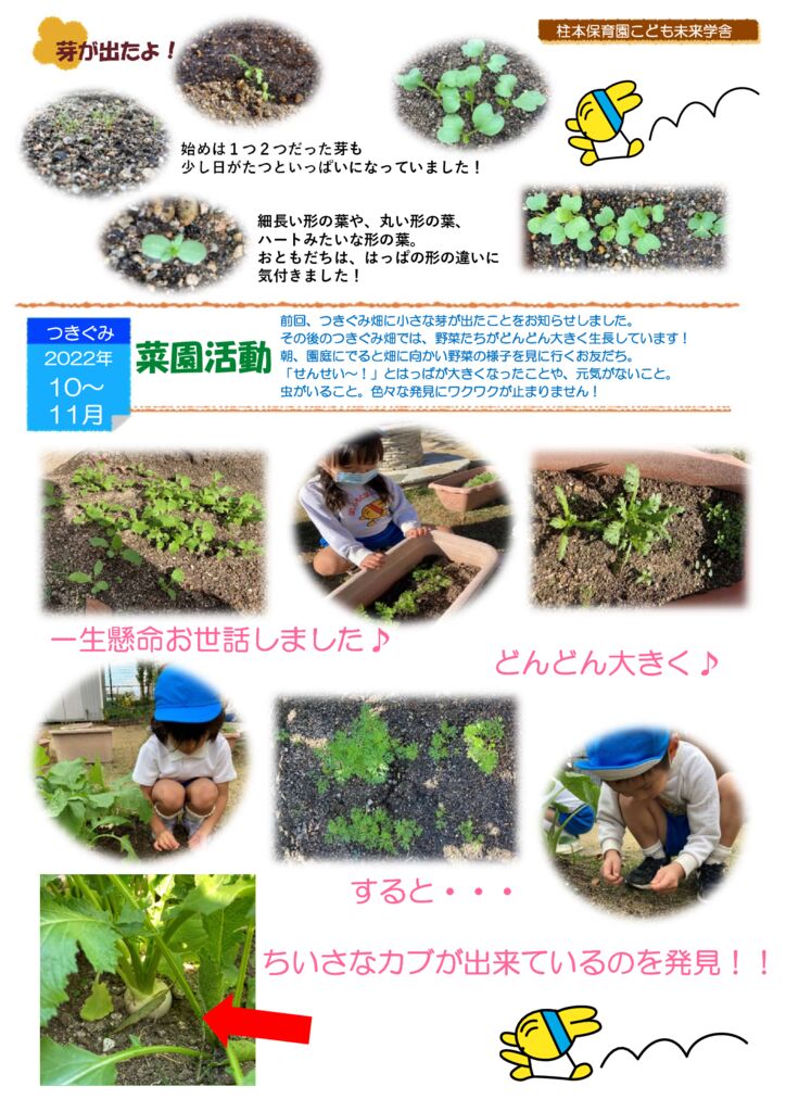10～11月つきぐみ菜園活動「収穫」