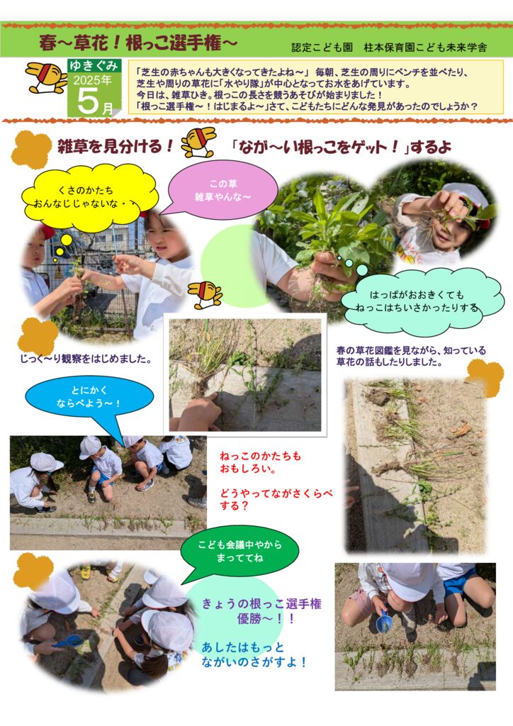 5月 ゆきぐみ「春～草花！根っこ選手権」