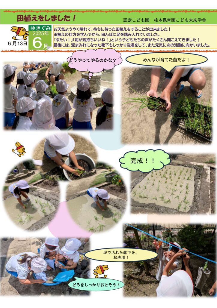 6月 ゆきぐみ「田植えをしました」