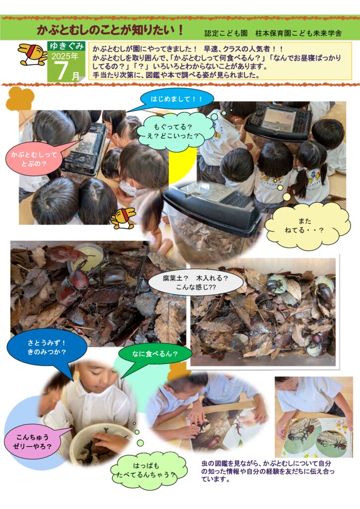 7月 ゆきぐみ「かぶとむし の ことが 知りたい!」