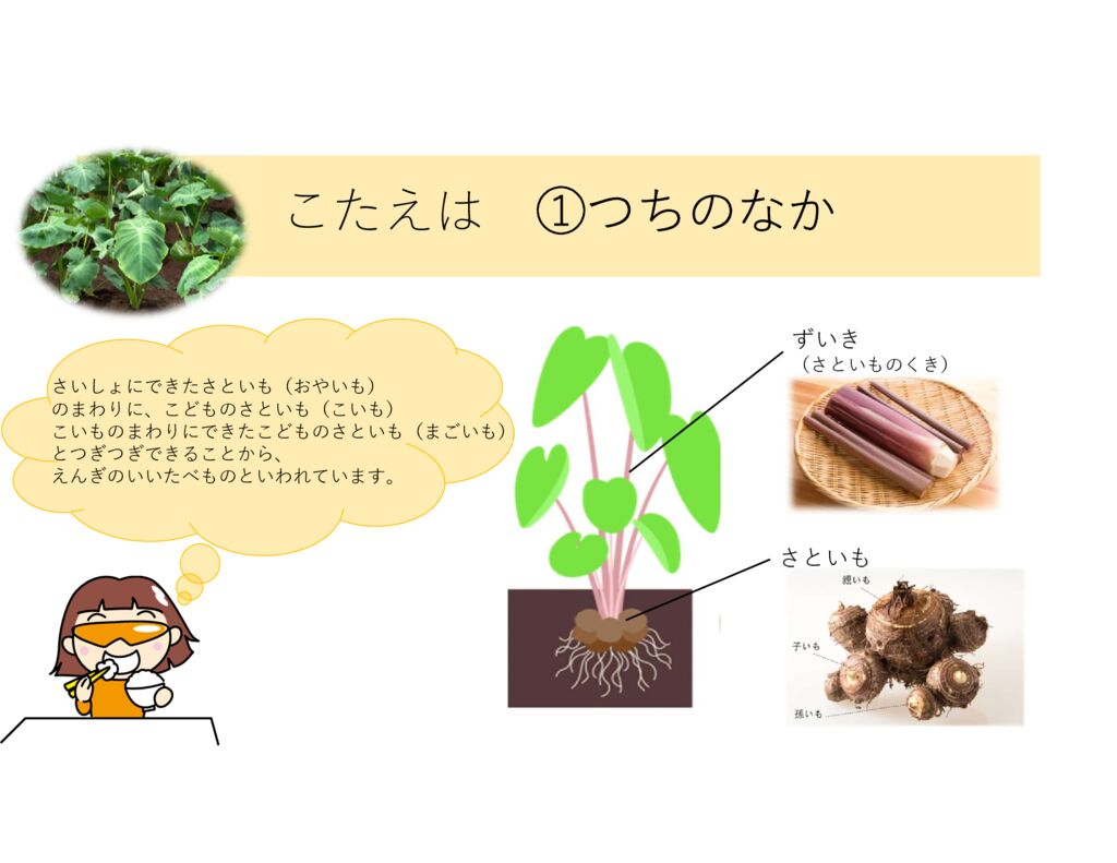 9月食育クイズ②のサムネイル