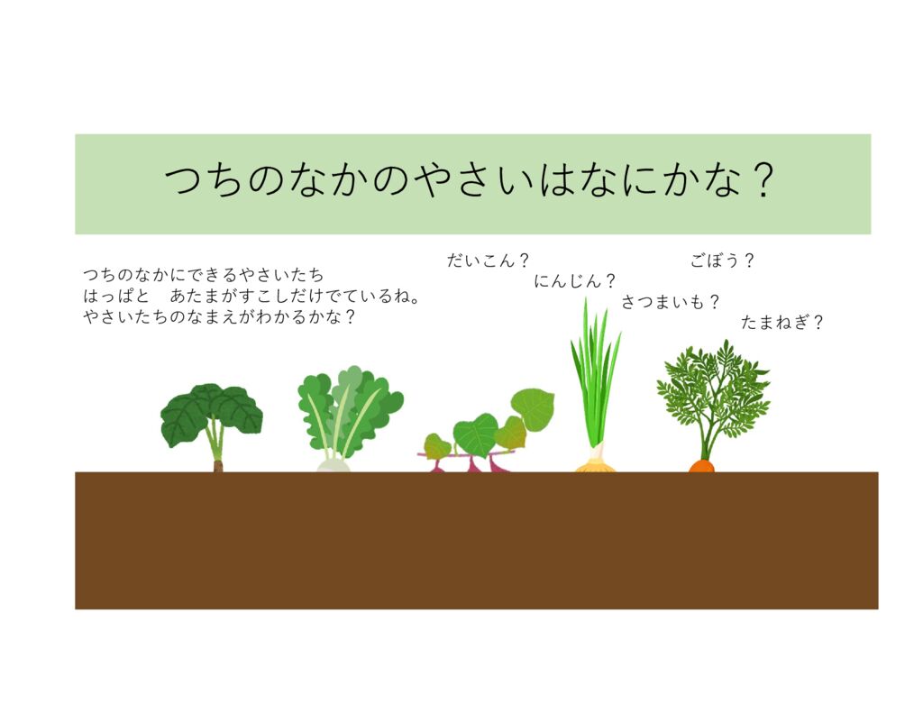 10月 食育クイズ「つち の なか の やさいは なに かな？」