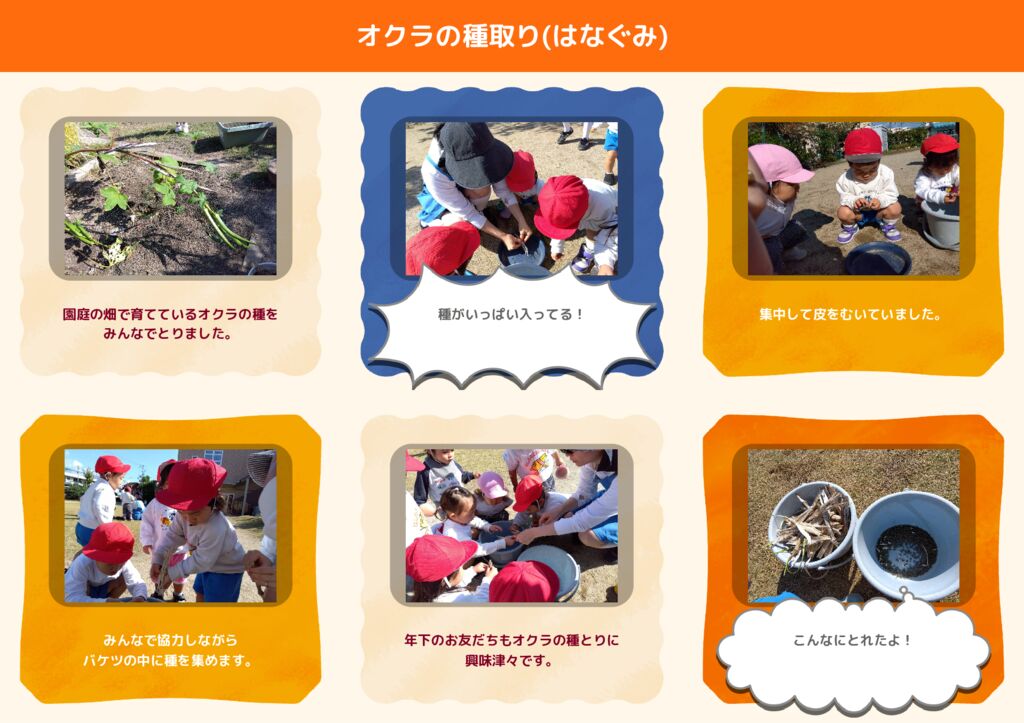 10月 はなぐみ「オクラの種とり」