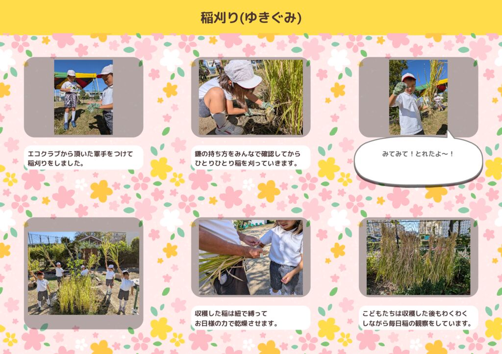 10月 ゆきぐみ「稲刈り」